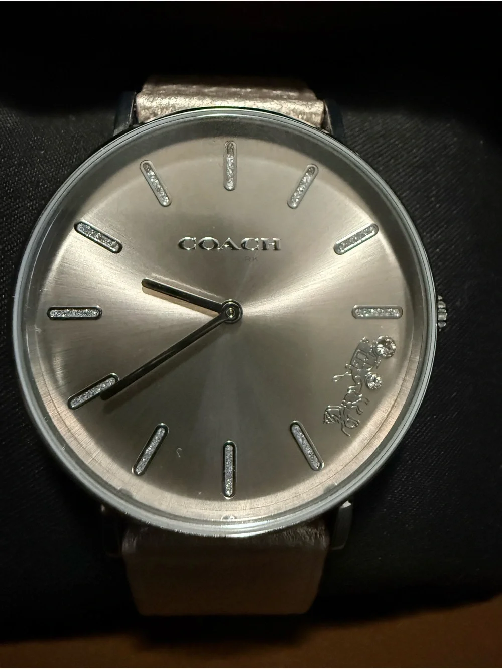 Coach Perry Watch
